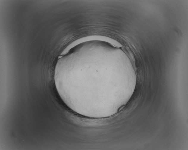 X0000116280044200912291401