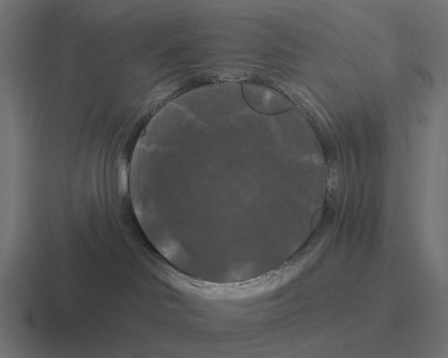 X0000116280046200912291401