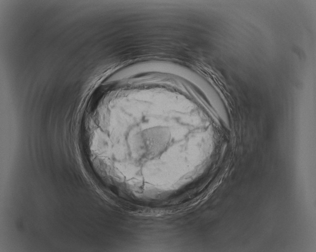 X0000116280049200912291401