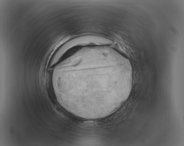 X0000116280050200912291401