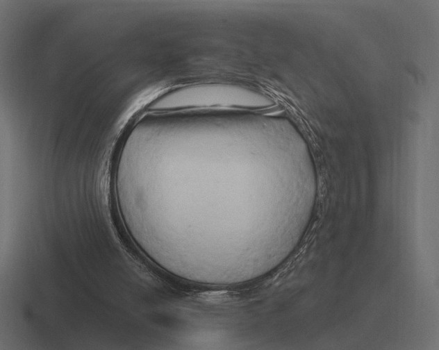 X0000116280054200912291401