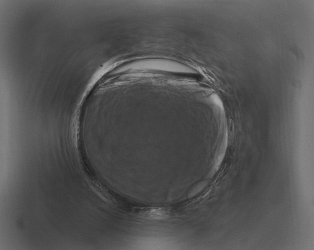 X0000116280056200912291401