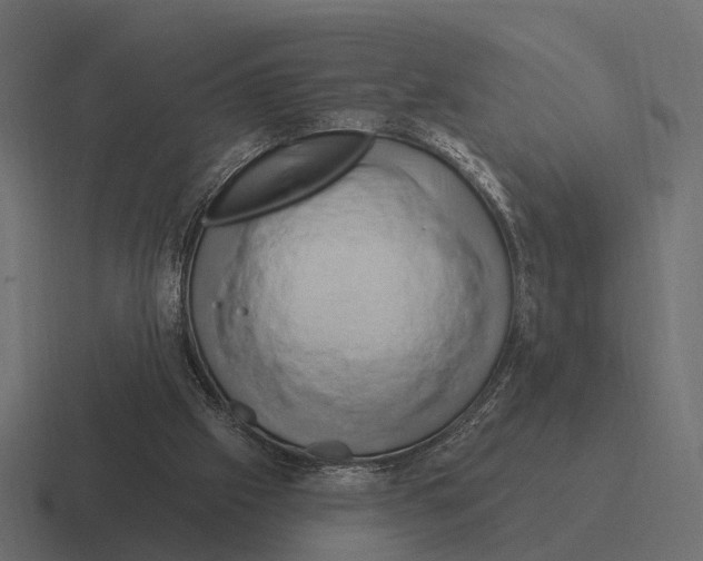 X0000116280057200912291401