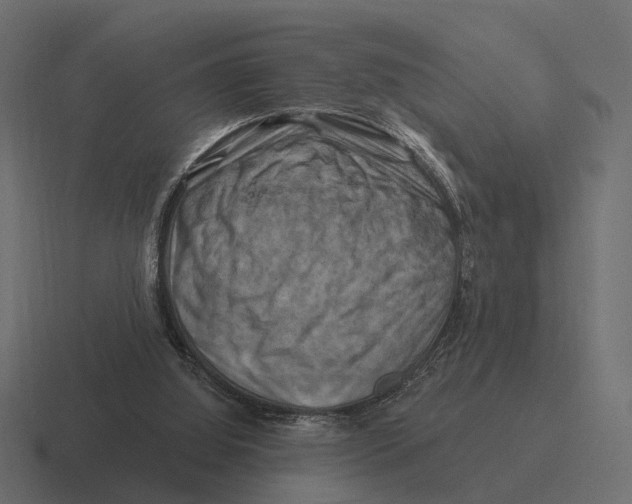 X0000116280060200912291401