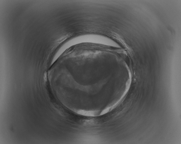 X0000116280068200912291401