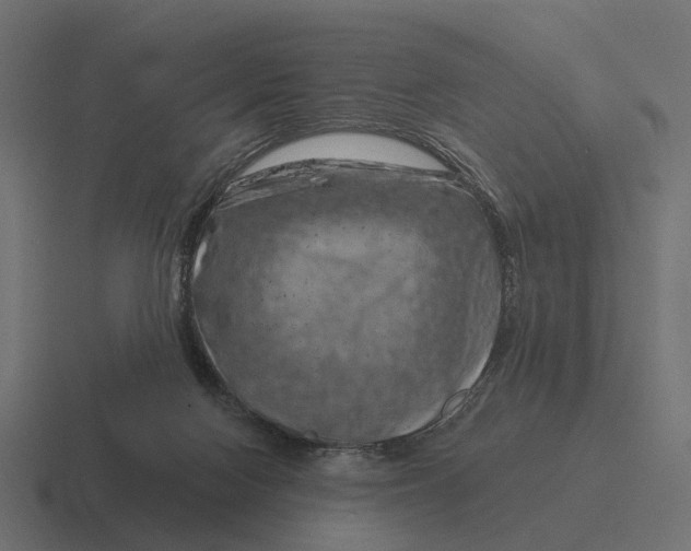 X0000116280074200912291401