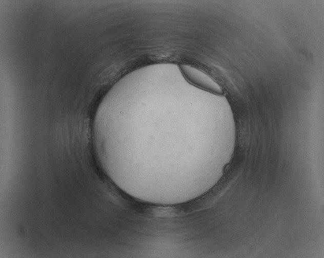 X0000116280085200912291401