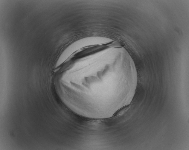 X0000116280086200912291401