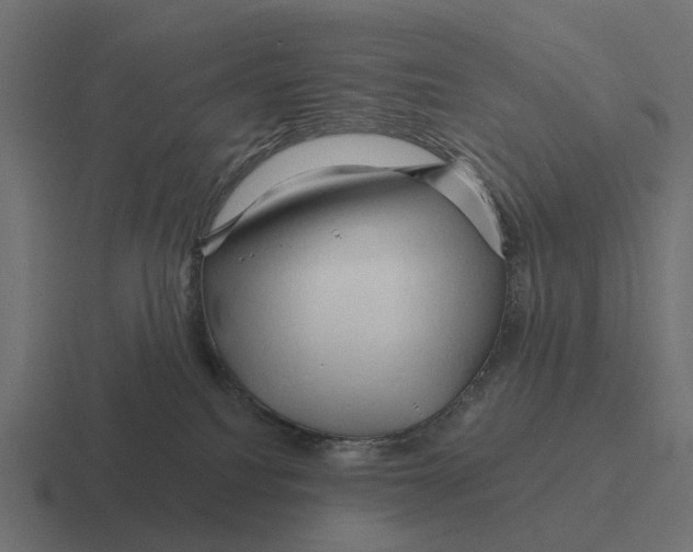 X0000116280088200912291401