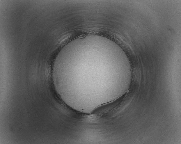 X0000116280092200912291401