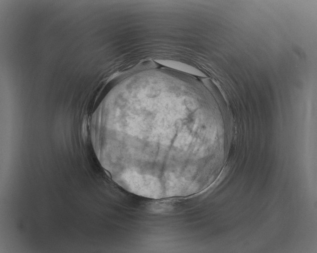 X0000116280094200912291401