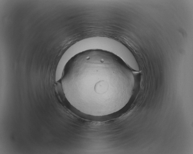 X0000116280096200912291401