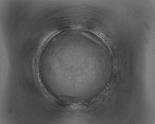X0000116280097200912291401
