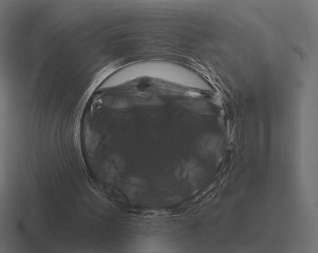 X0000116280099200912291401