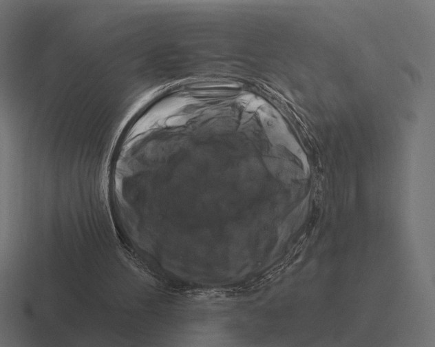 X0000116280100200912291401