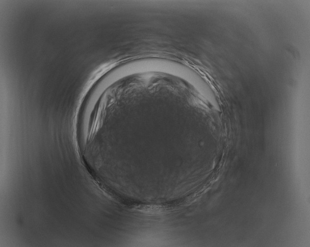 X0000116280104200912291400