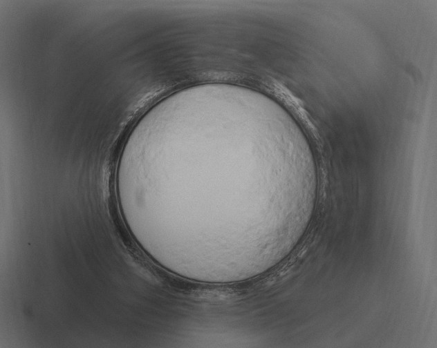 X0000116280106200912291400