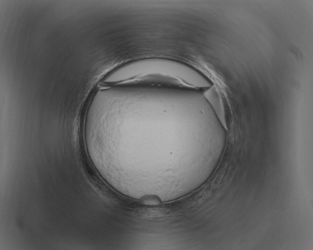 X0000116280107200912291400