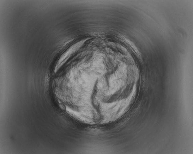X0000116280113200912291400