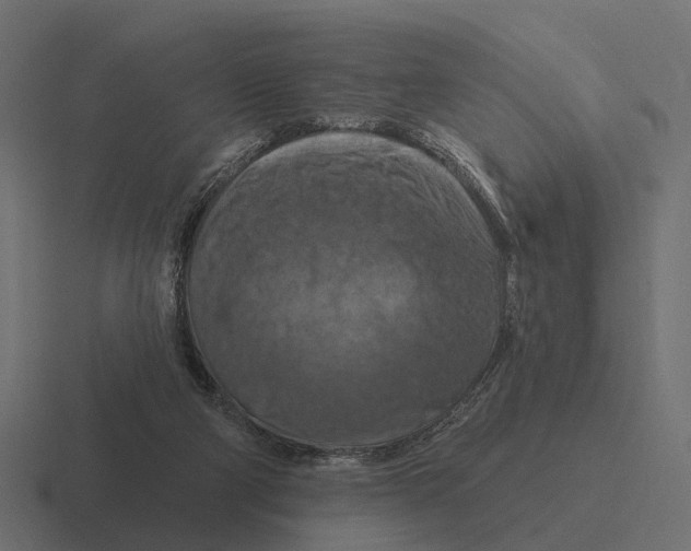 X0000116280114200912291400
