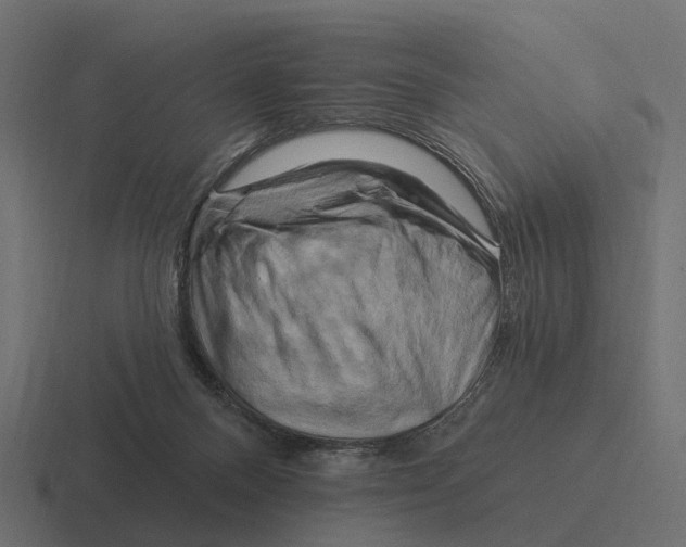X0000116280120200912291400