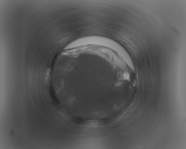 X0000116280127200912291400