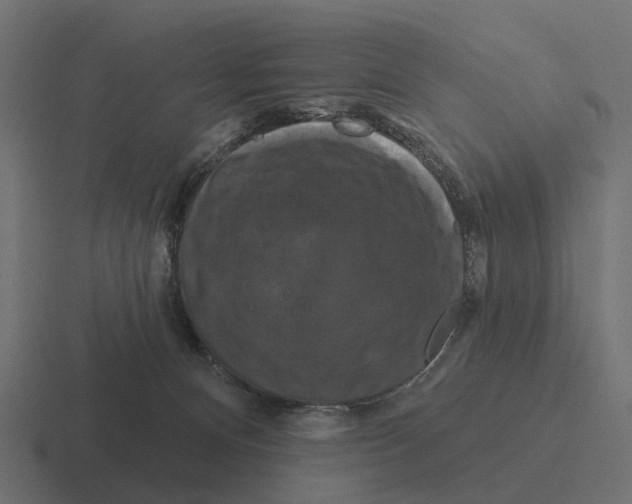 X0000116280128200912291400