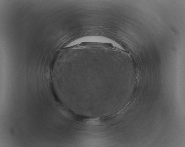 X0000116280132200912291400