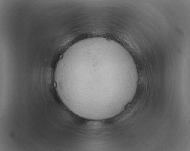 X0000116280133200912291400