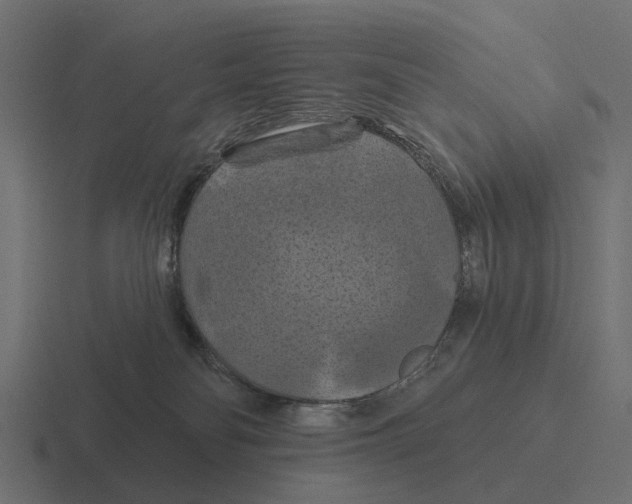 X0000116280134200912291400