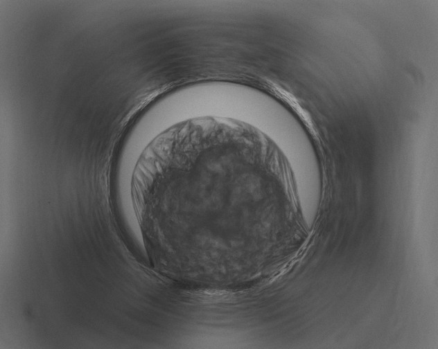 X0000116280154200912291359