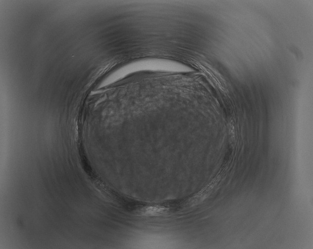 X0000116280158200912291400