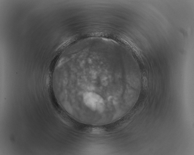 X0000116280165200912291400