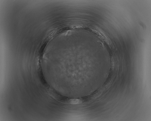 X0000116280169200912291400