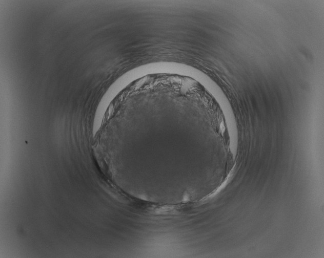 X0000116280186200912291400