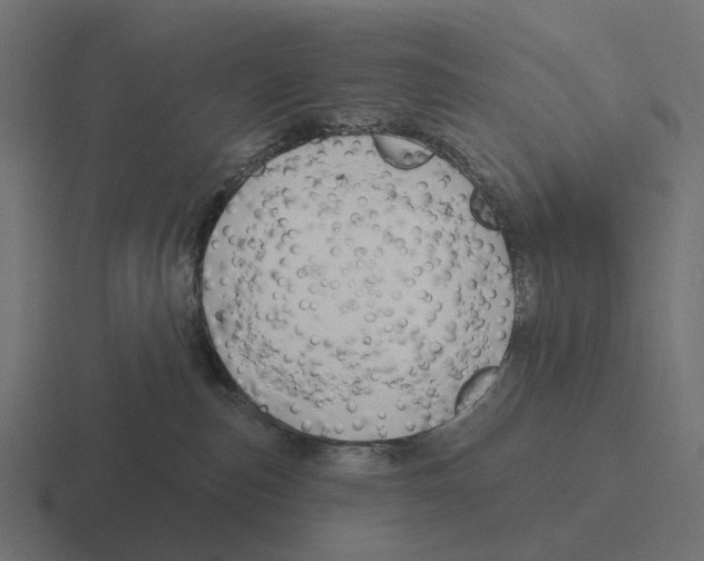 X0000116280187200912291400