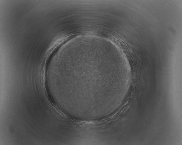 X0000116280194200912291359