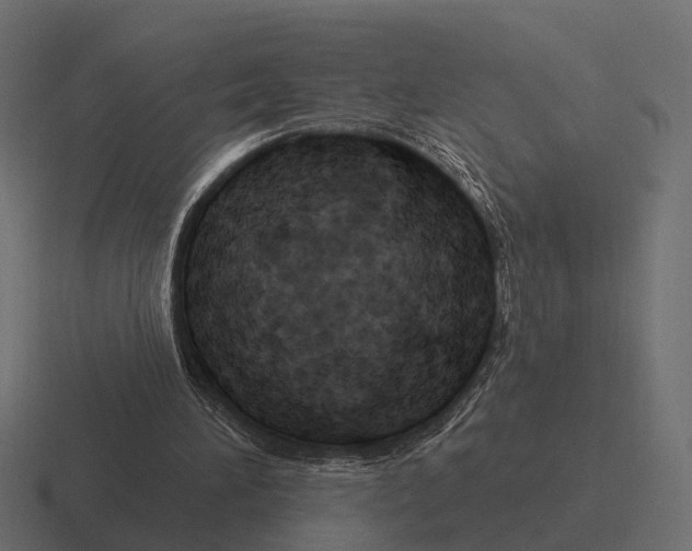 X0000116280196200912291359