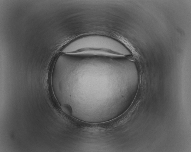 X0000116280201200912291359