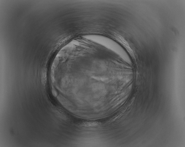 X0000116280202200912291359