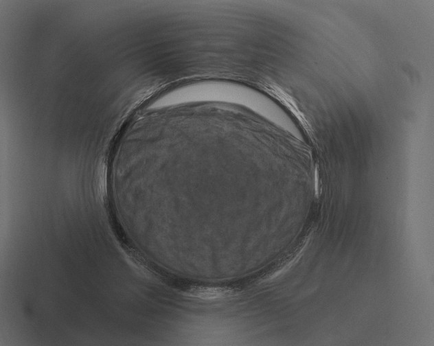 X0000116280205200912291359
