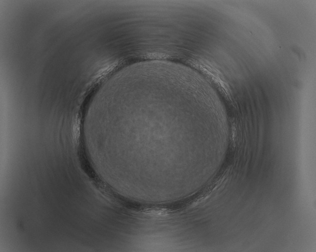 X0000116280206200912291359