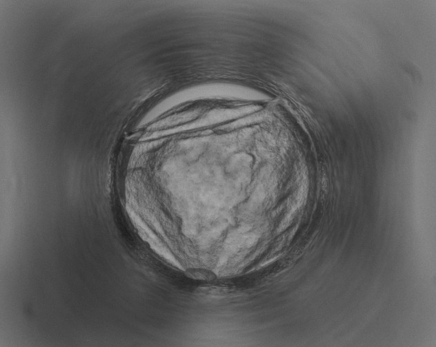 X0000116280211200912291359