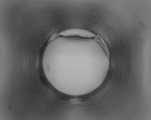 X0000116280216200912291359