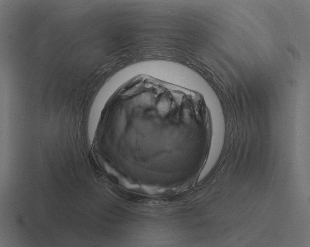 X0000116280223200912291359