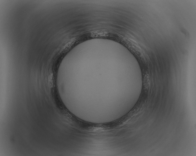 X0000116280224200912291359