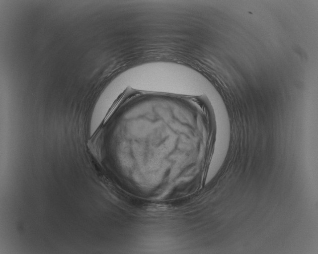 X0000116280227200912291359