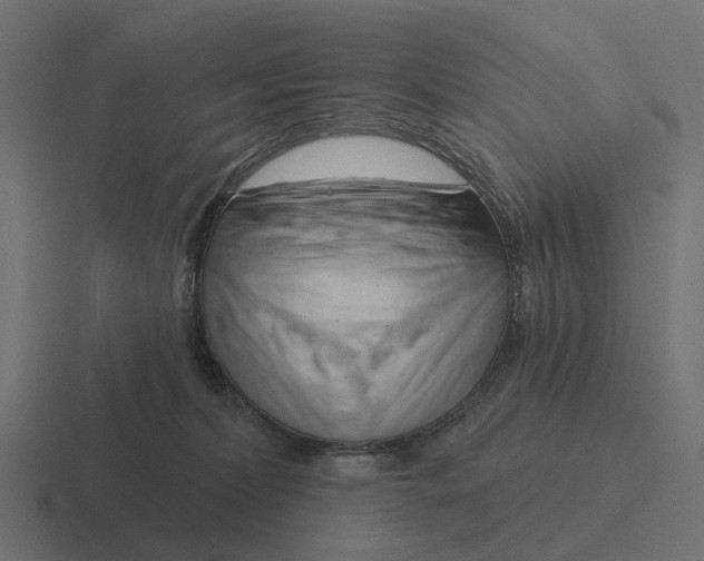 X0000116280228200912291359