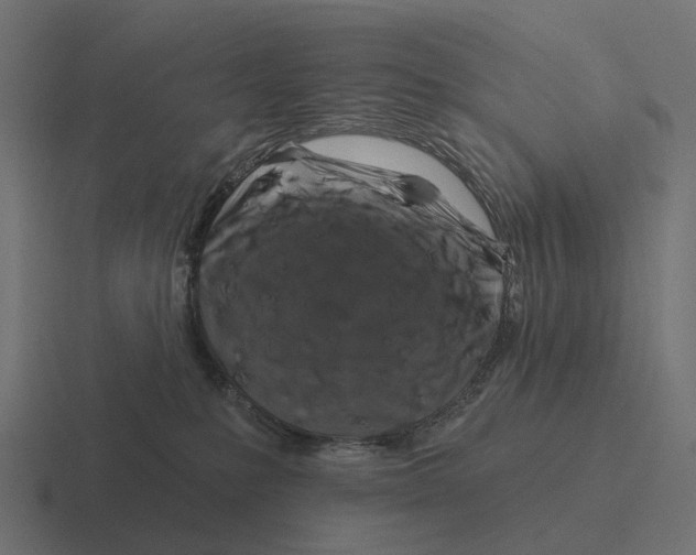 X0000116280231200912291359