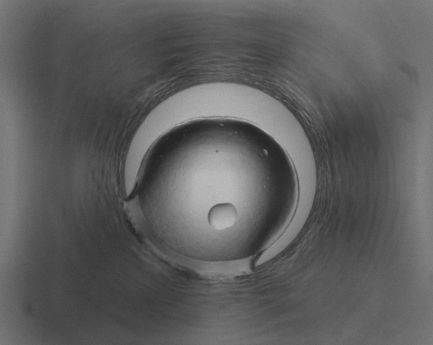 X0000116280233200912291359